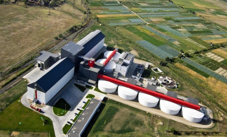 Malt Factory Buzau